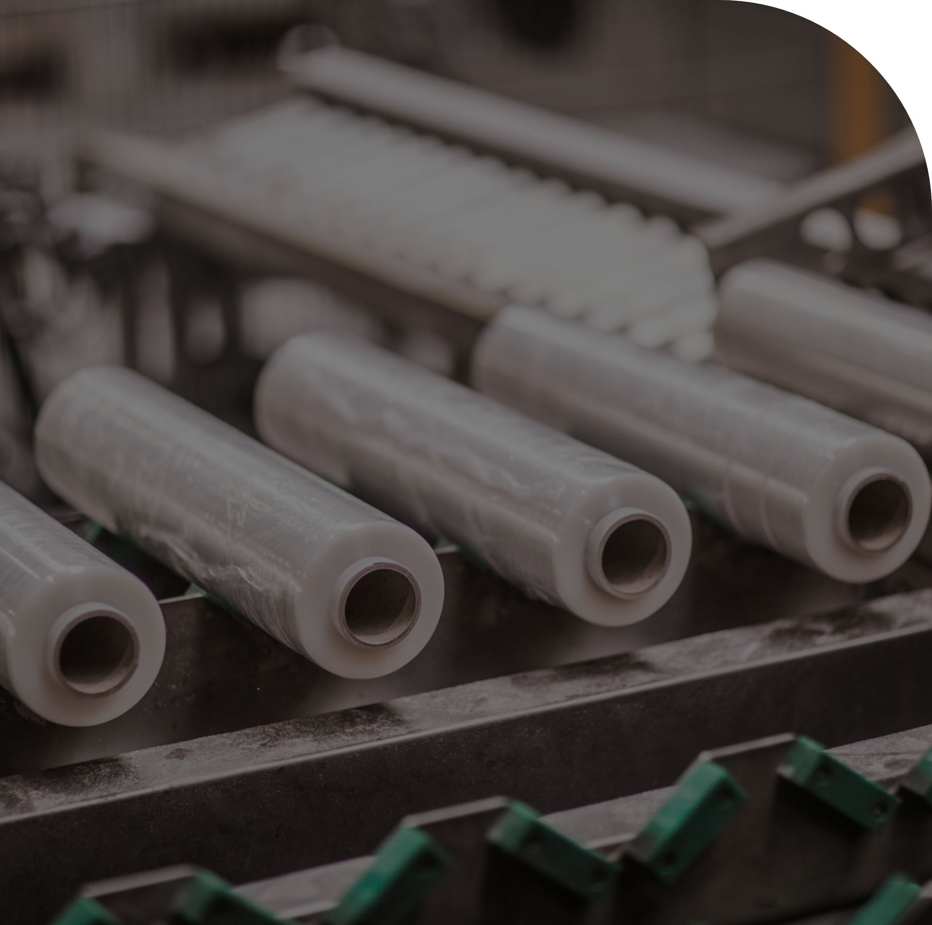 Specjalista ds. obsługi klienta odpowiadający na zapytania